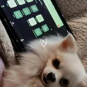 Imagem-do-WhatsApp-de-2025-07-30-à_s_-14.19.39_29818e66